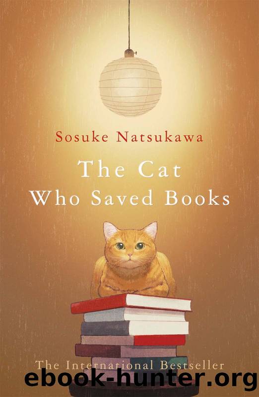 The Cat Who Saved Books by Sosuke Natsukawa