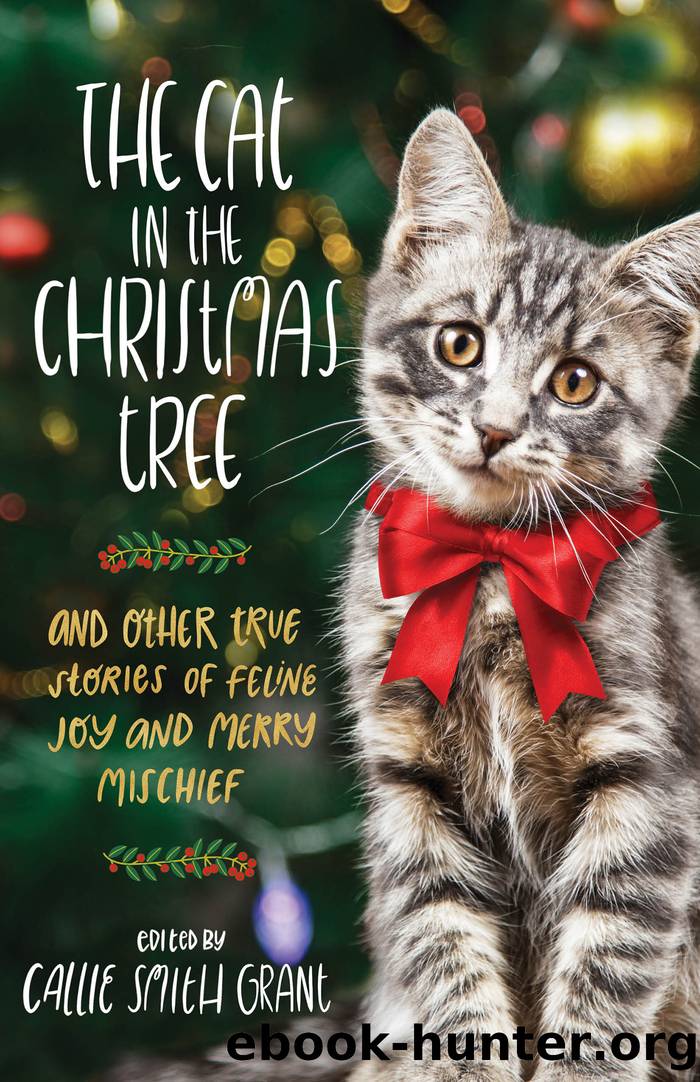 The Cat in the Christmas Tree by Callie Smith Grant