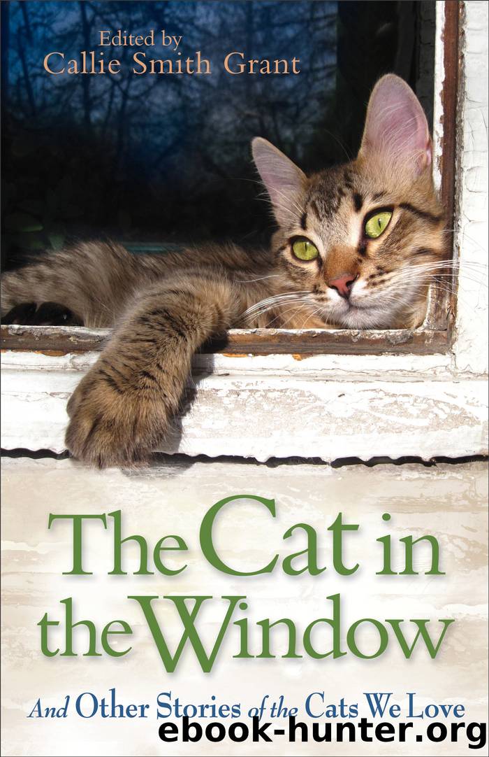 The Cat in the Window by Callie Smith Grant