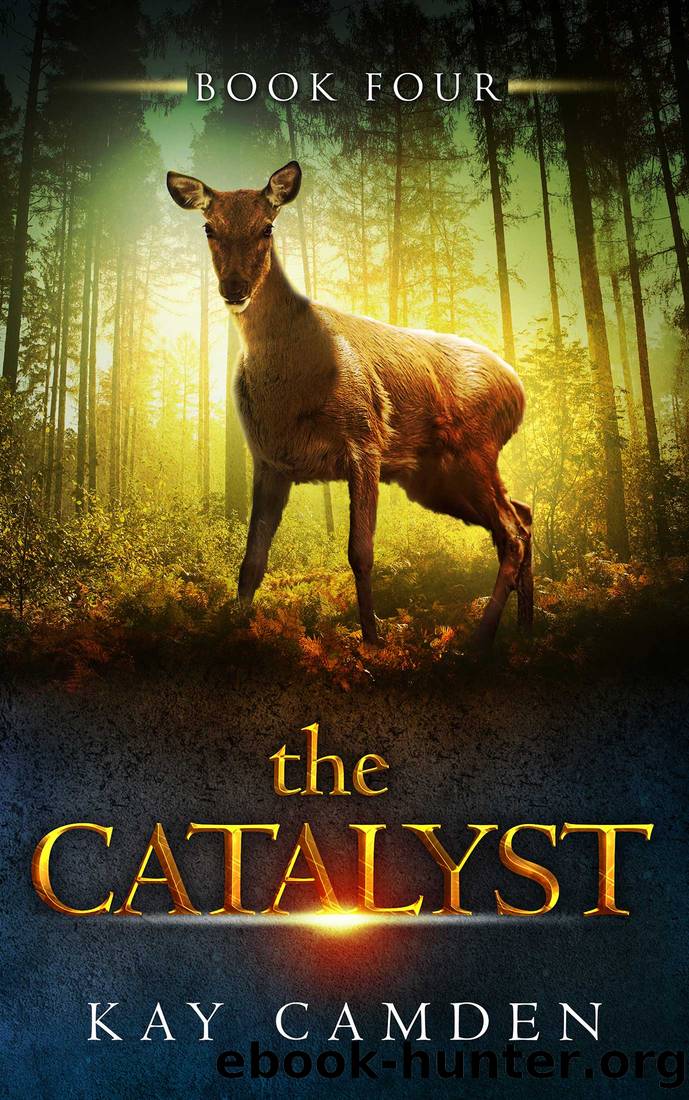 The Catalyst by Kay Camden