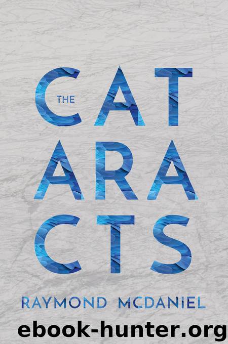The Cataracts by Raymond McDaniel