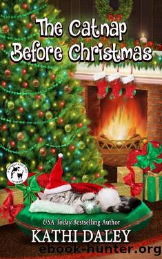 The Catnap Before Christmas (A Whales and Tails Mystery Book 19) by Kathi Daley