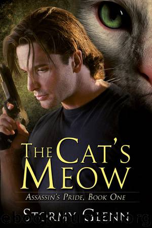 The Cats Meow by Strormy Glenn