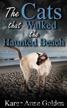 The Cats that Walked the Haunted Beach by Karen Anne Golden