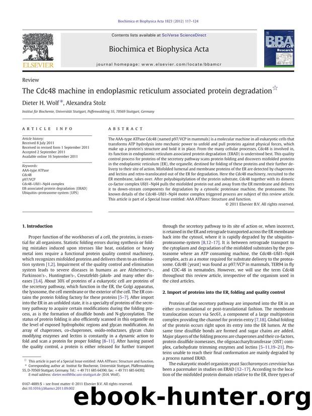 The Cdc48 machine in endoplasmic reticulum associated protein degradation by Dieter H. Wolf & Alexandra Stolz