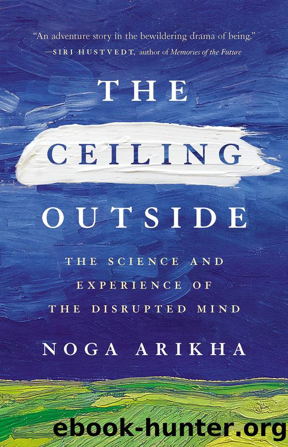 The Ceiling Outside by Noga Arikha