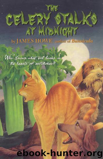 The Celery Stalks at Midnight by James Howe