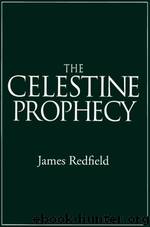 The Celestine Prophecy (1987) by James Redfield