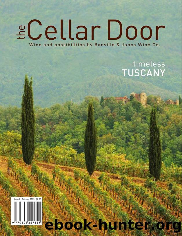 The Cellar Door 02 (2009) by Unknown
