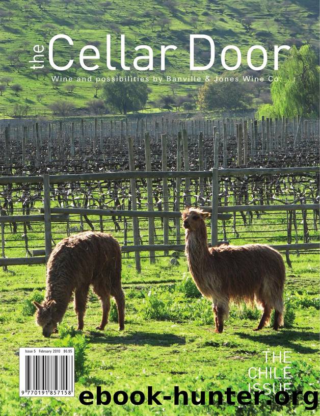 The Cellar Door 05 (2010) by Unknown