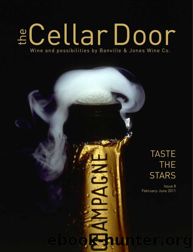 The Cellar Door 08 (2011) by Unknown