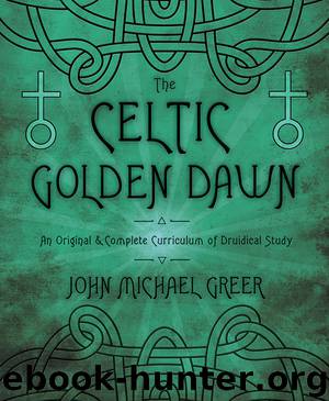 The Celtic Golden Dawn: An Original & Complete Curriculum of Druidical Study by John Michael Greer