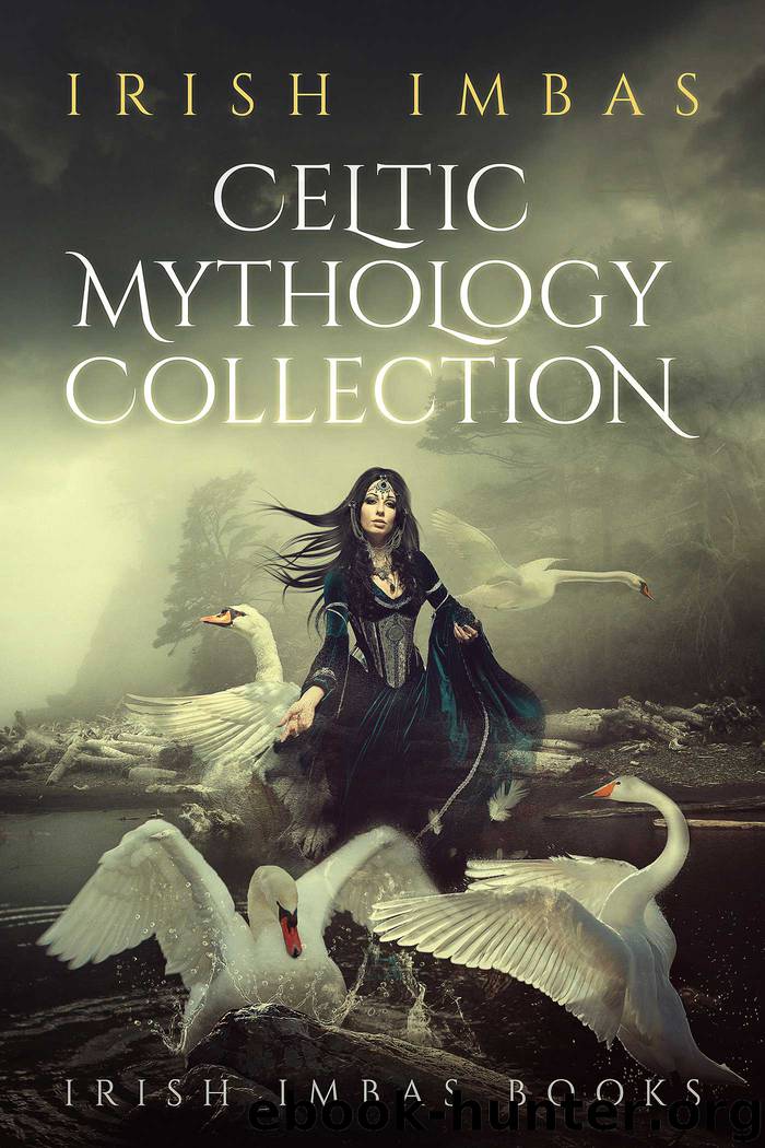 The Celtic Mythology Collection 2016 by Brian O’Sullivan