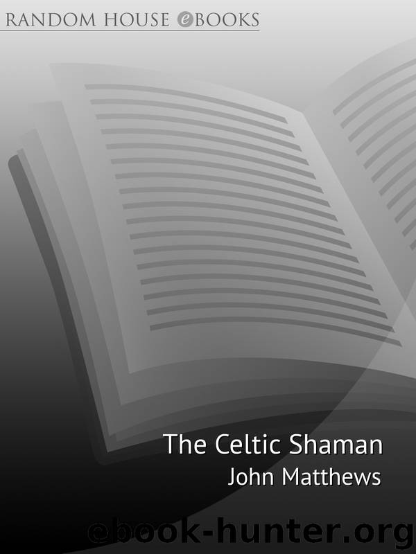 The Celtic Shaman by John Matthews