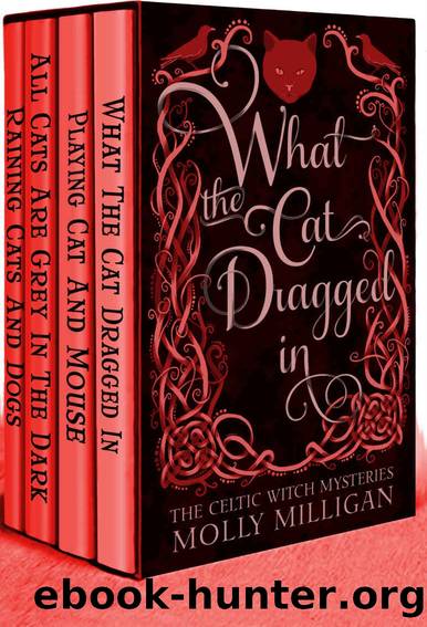 The Celtic Witch Mysteries Collection One by Molly Milligan