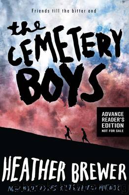 The Cemetery Boys by Brewer Heather
