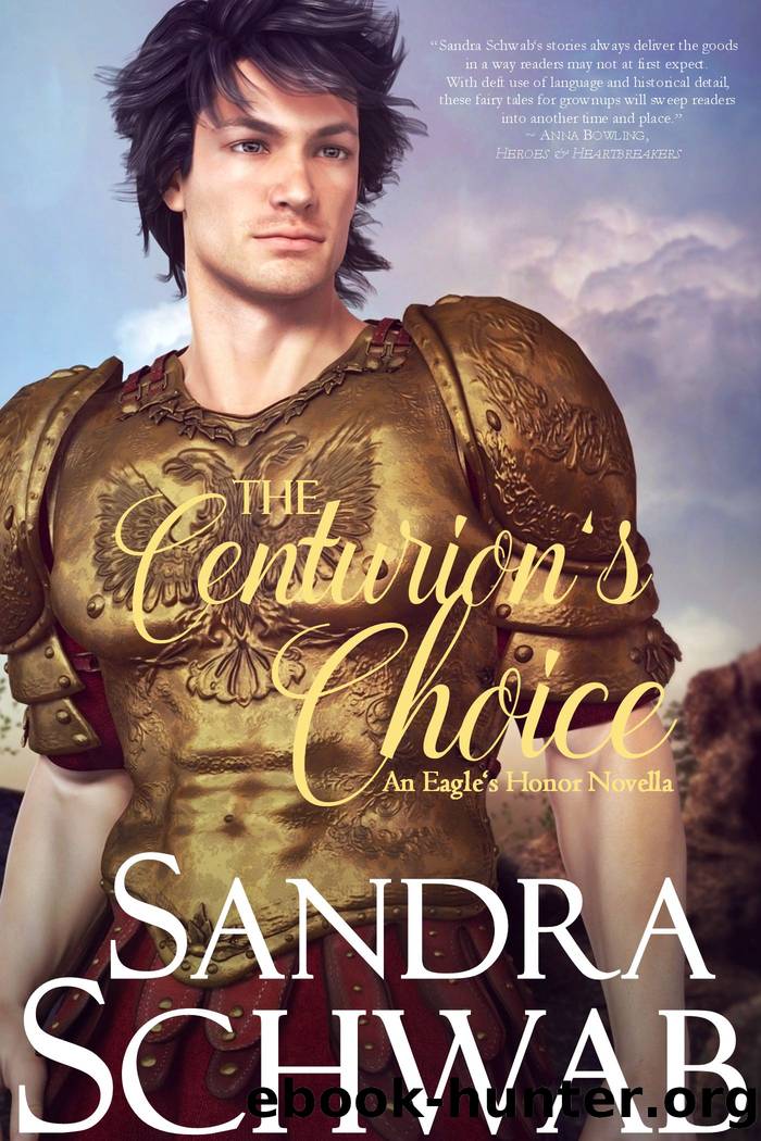 The Centurion's Choice by Sandra Schwab