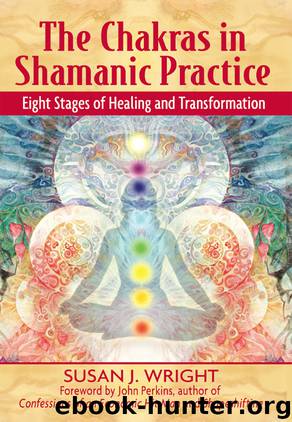 The Chakras in Shamanic Practice by Susan J. Wright