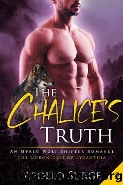The Chalice's Truth by Apollo Surge