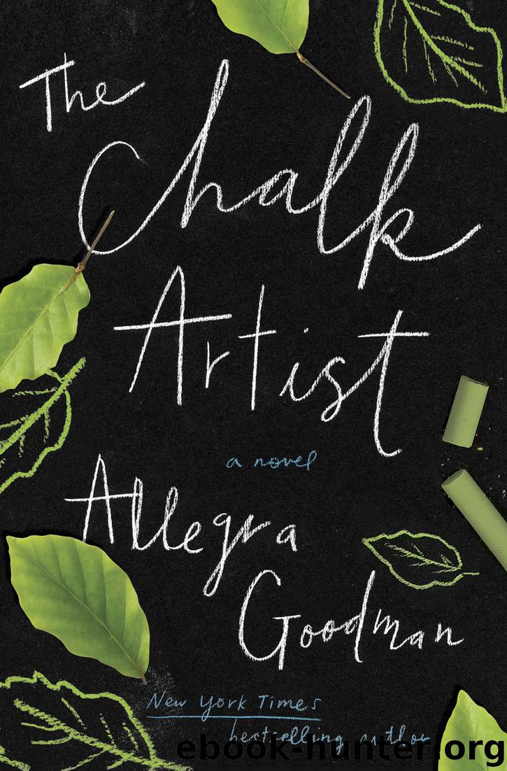 The Chalk Artist by Allegra Goodman