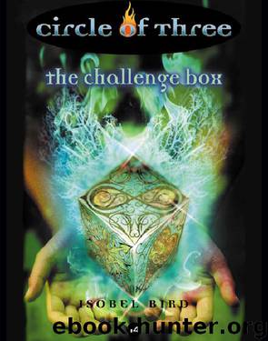 The Challenge Box by Isobel Bird