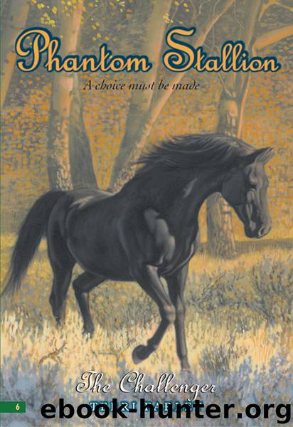 The Challenger by Terri Farley