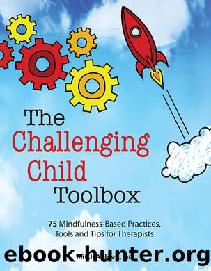 The Challenging Child Toolbox by Abblett Mitch;