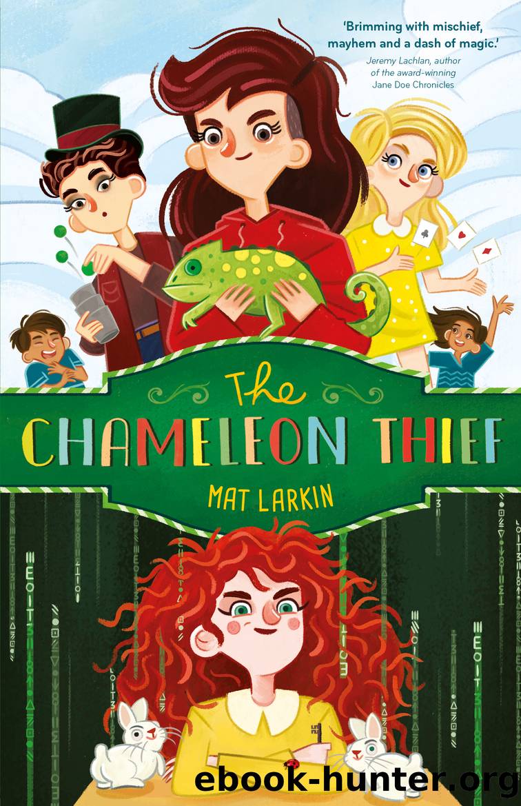 The Chameleon Thief by Mat Larkin