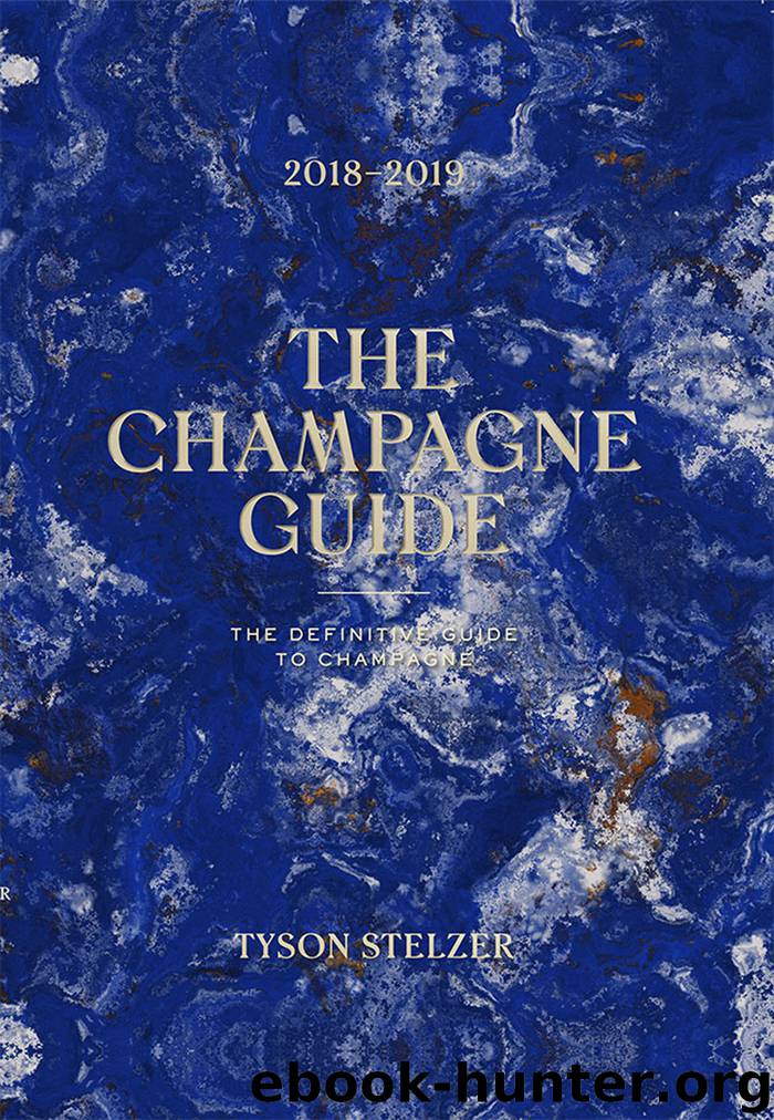 The Champagne Guide 2018-2019 by Tyson Stelzer