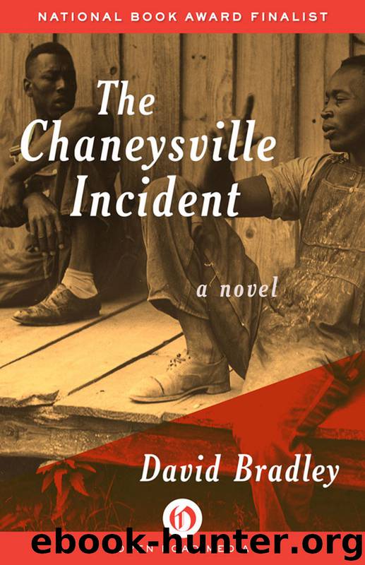 The Chaneysville Incident by David Bradley