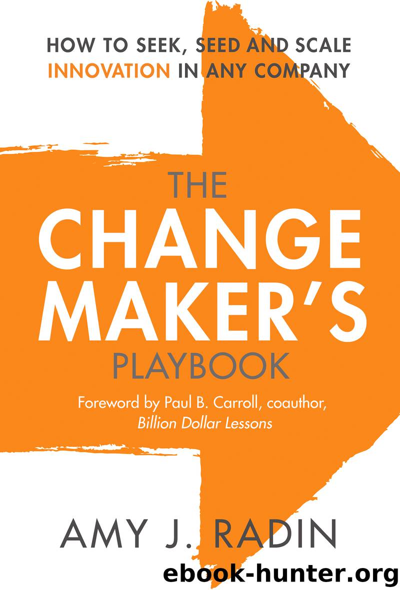 The Change Maker's Playbook by Amy J. Radin