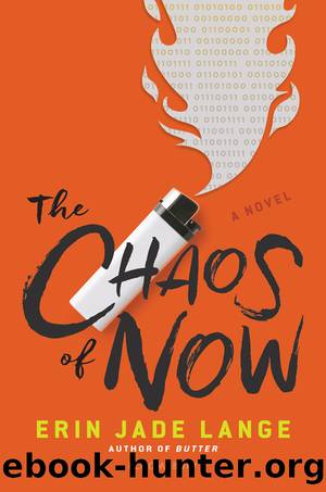 The Chaos of Now by Erin Jade Lange