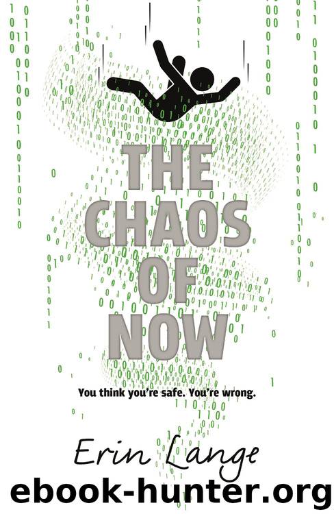 The Chaos of Now by Erin Lange