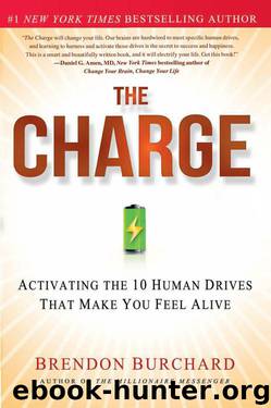The Charge: Activating the 10 Human Drives That Make You Feel by Burchard Brendon