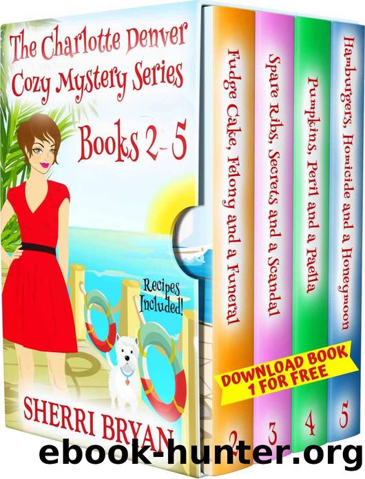 The Charlotte Denver Cozy Mystery Series - Books 2 - 5 by Sherri Bryan