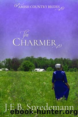The Charmer (Amish Country Brides) by Jennifer (J.E.B.) Spredemann