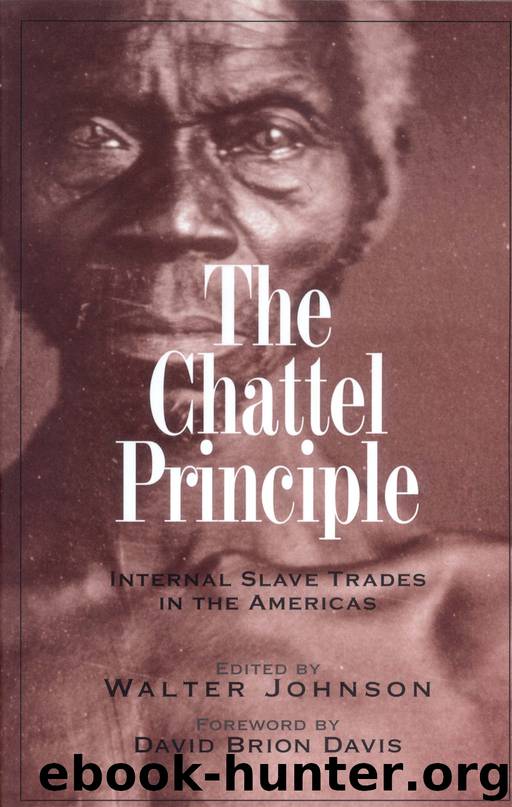 The Chattel Principle by Walter Johnson