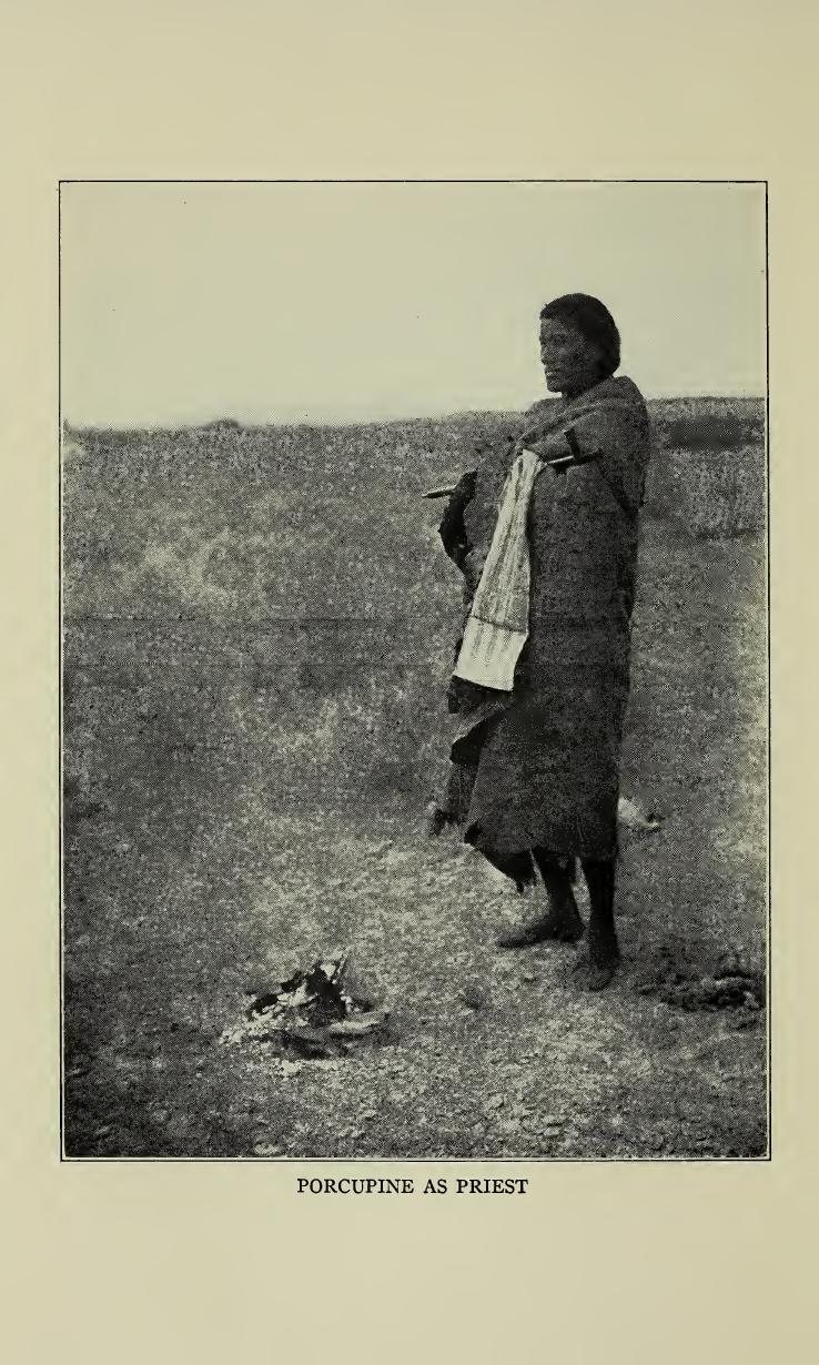 The Cheyenne Indians, their history and ways of life by George Bird Grinnell