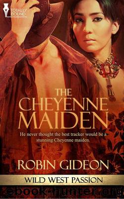 The Cheyenne Maiden by Robin Gideon