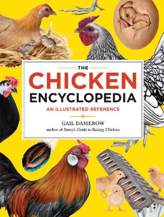 The Chicken Encyclopedia: An Illustrated Reference by Unknow