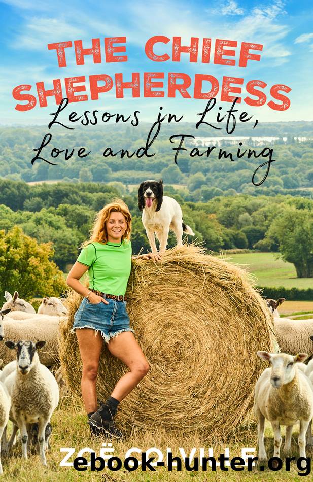 The Chief Shepherdess by Zoe Colville