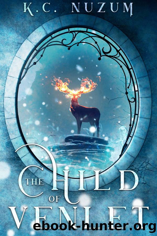 The Child of Venlet by K.C. Nuzum