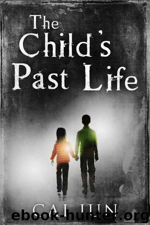 The Child's Past Life by Cai Jun