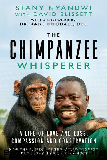 The Chimpanzee Whisperer by Stany Nyandwi