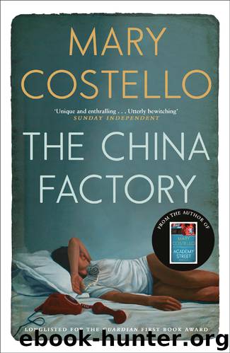 The China Factory by Mary Costello