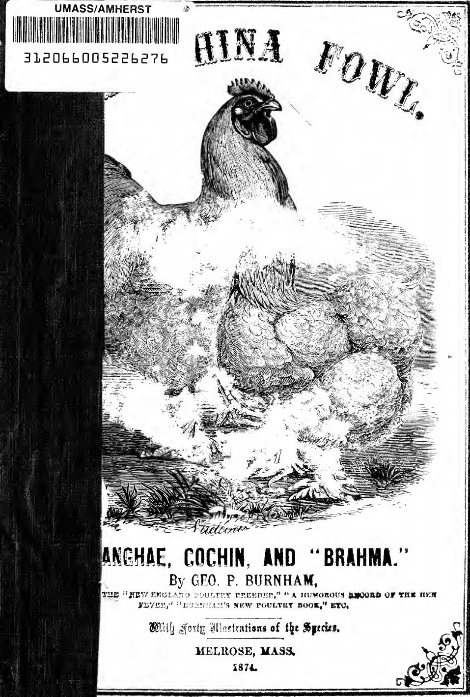 The China fowl : Shanghae, Cochin, and "Brahma. by Burnham Geo. P. (George Pickering) 1814-1902