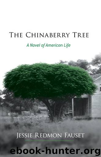 The Chinaberry Tree by Jessie Redmon Fauset