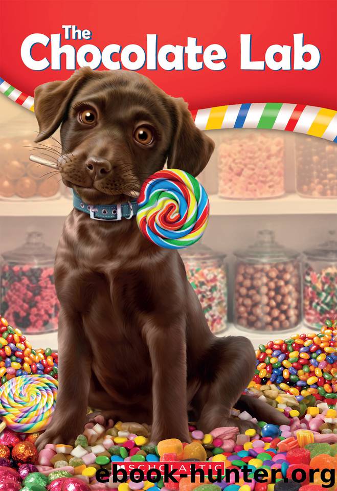 The Chocolate Lab by Eric Luper