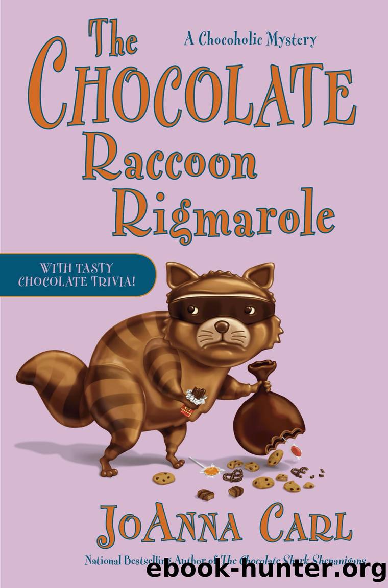 The Chocolate Raccoon Rigmarole by JoAnna Carl