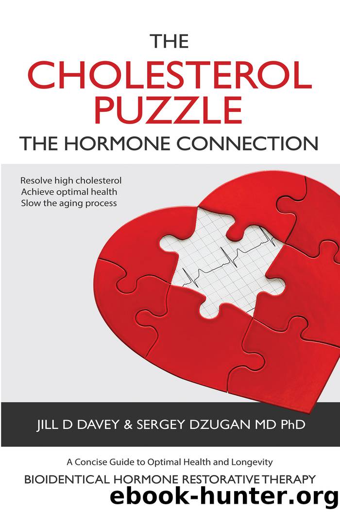 The Cholesterol Puzzle by Jill D Davey